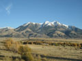 pretty mountains.JPG
